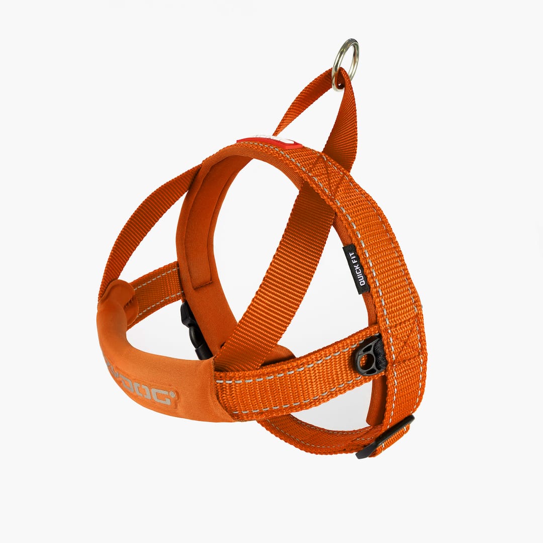Quick Fit™ Dog Harness - Image 8