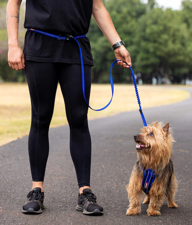 Road Runner™ Leash - Image 16