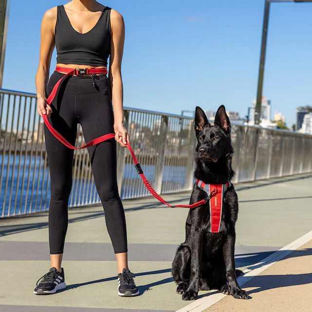 Road Runner™ Leash - Image 4