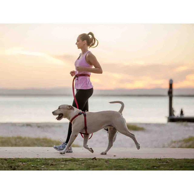 Road Runner™ Leash - Image 6