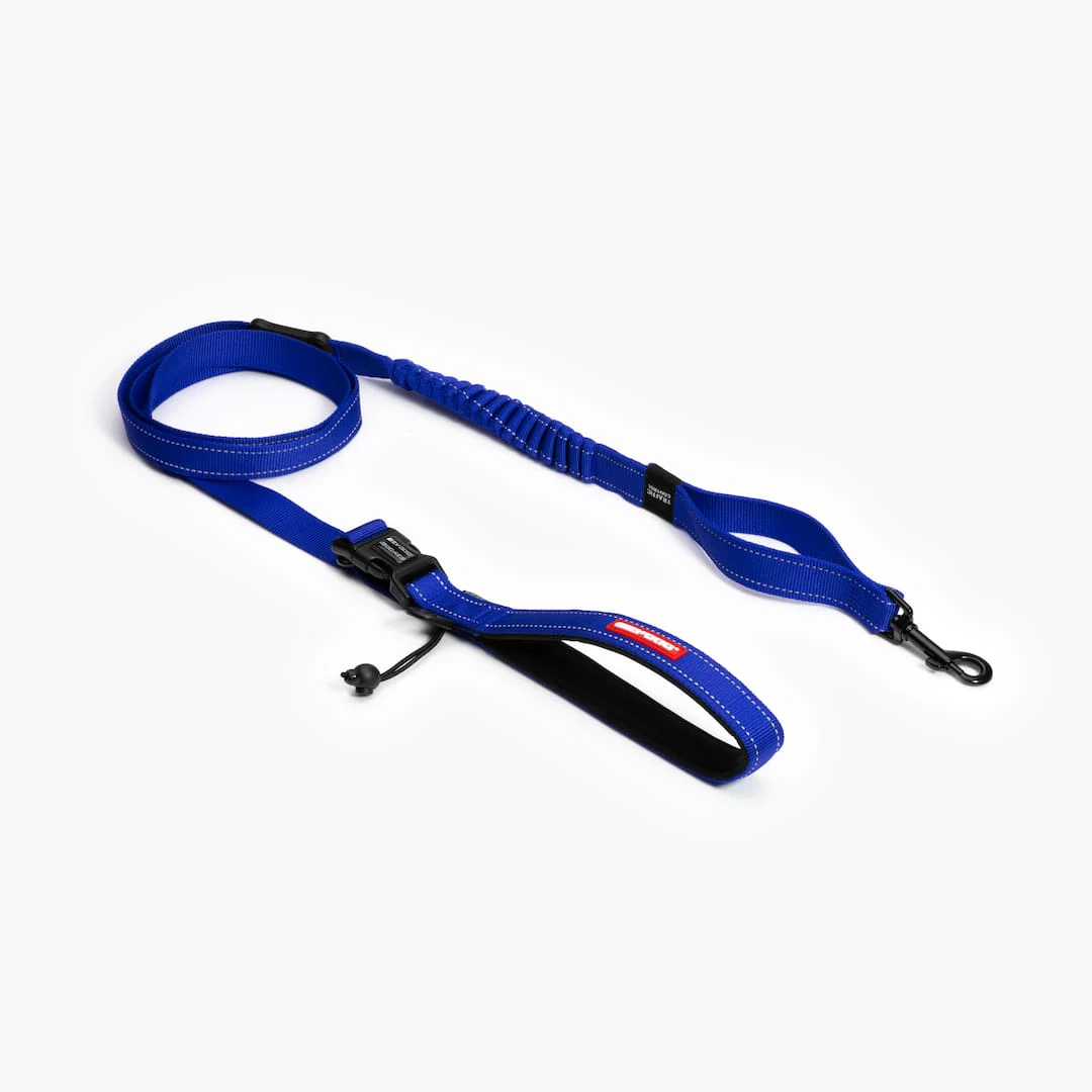 Road Runner™ Leash - Image 7