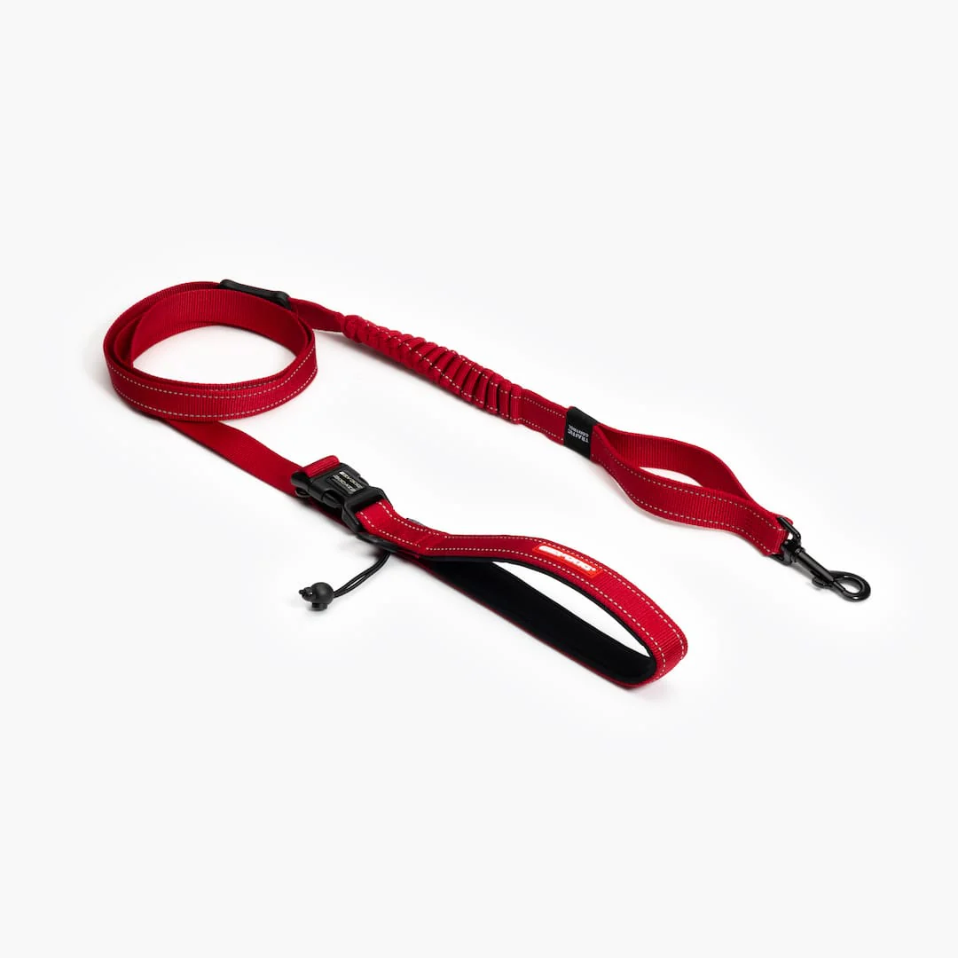 Road Runner™ Leash - Image 8