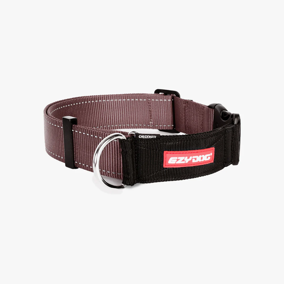 Sale Dog Accessories