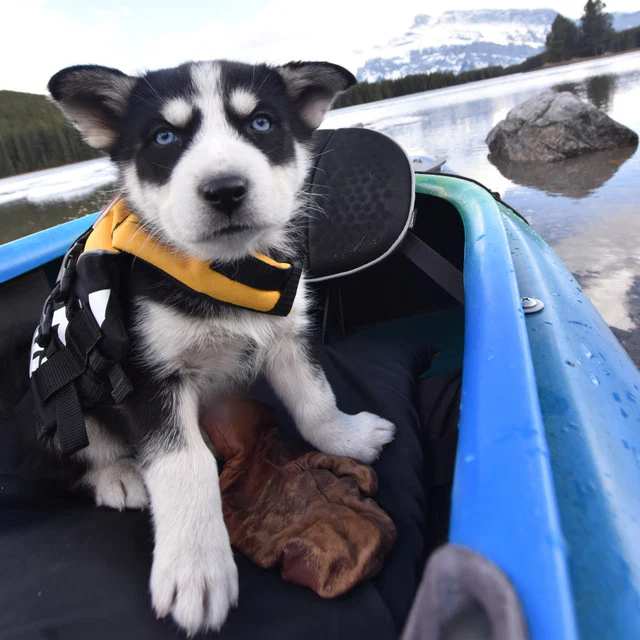 Micro DFD™ Life Jacket - Image 6