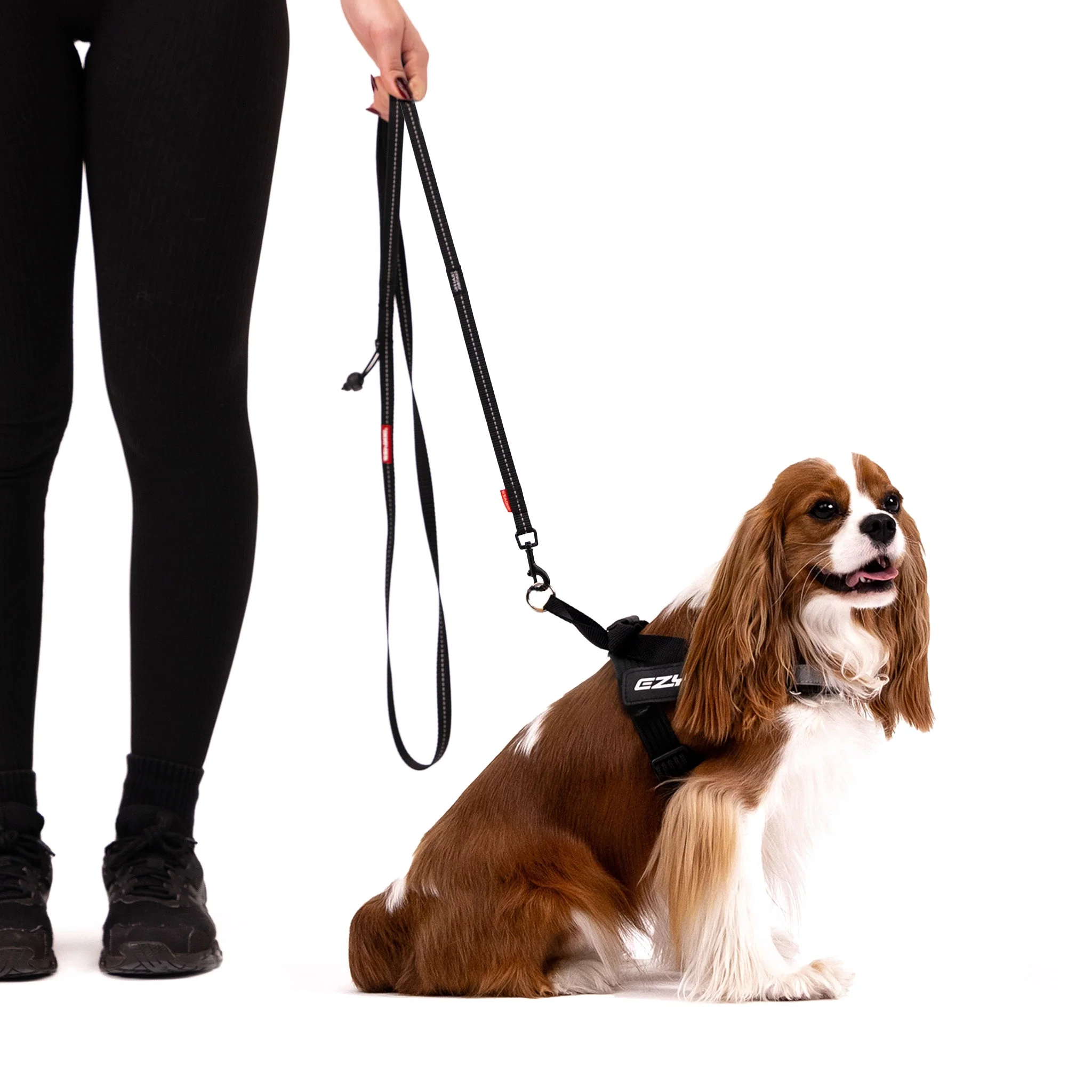 Soft Trainer™ Leash - Image 13