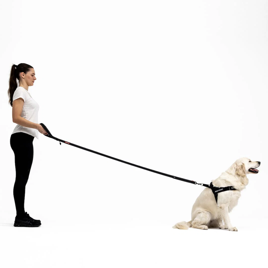 Soft Trainer™ Leash - Image 3