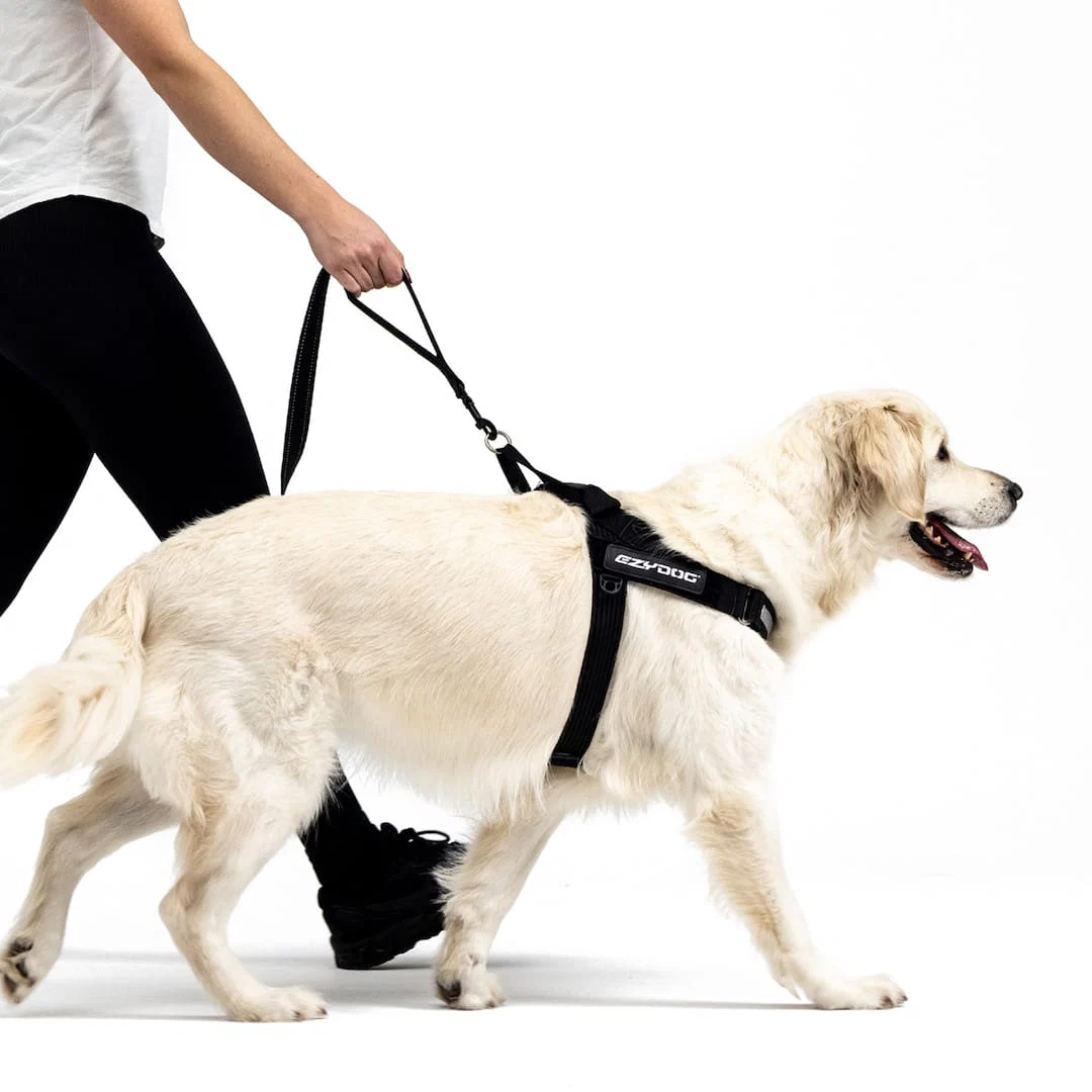 Soft Trainer™ Leash - Image 4
