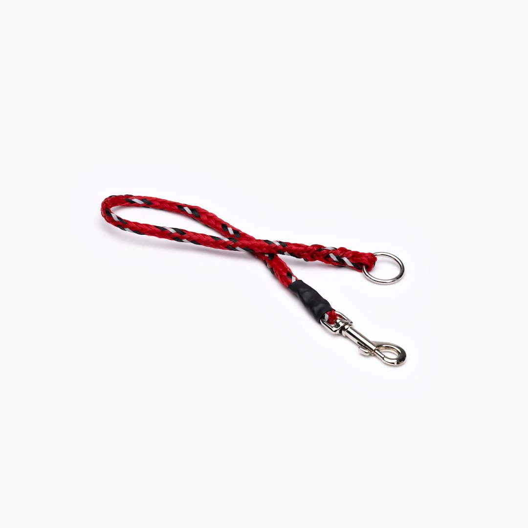 Standard Extensions - Image 3