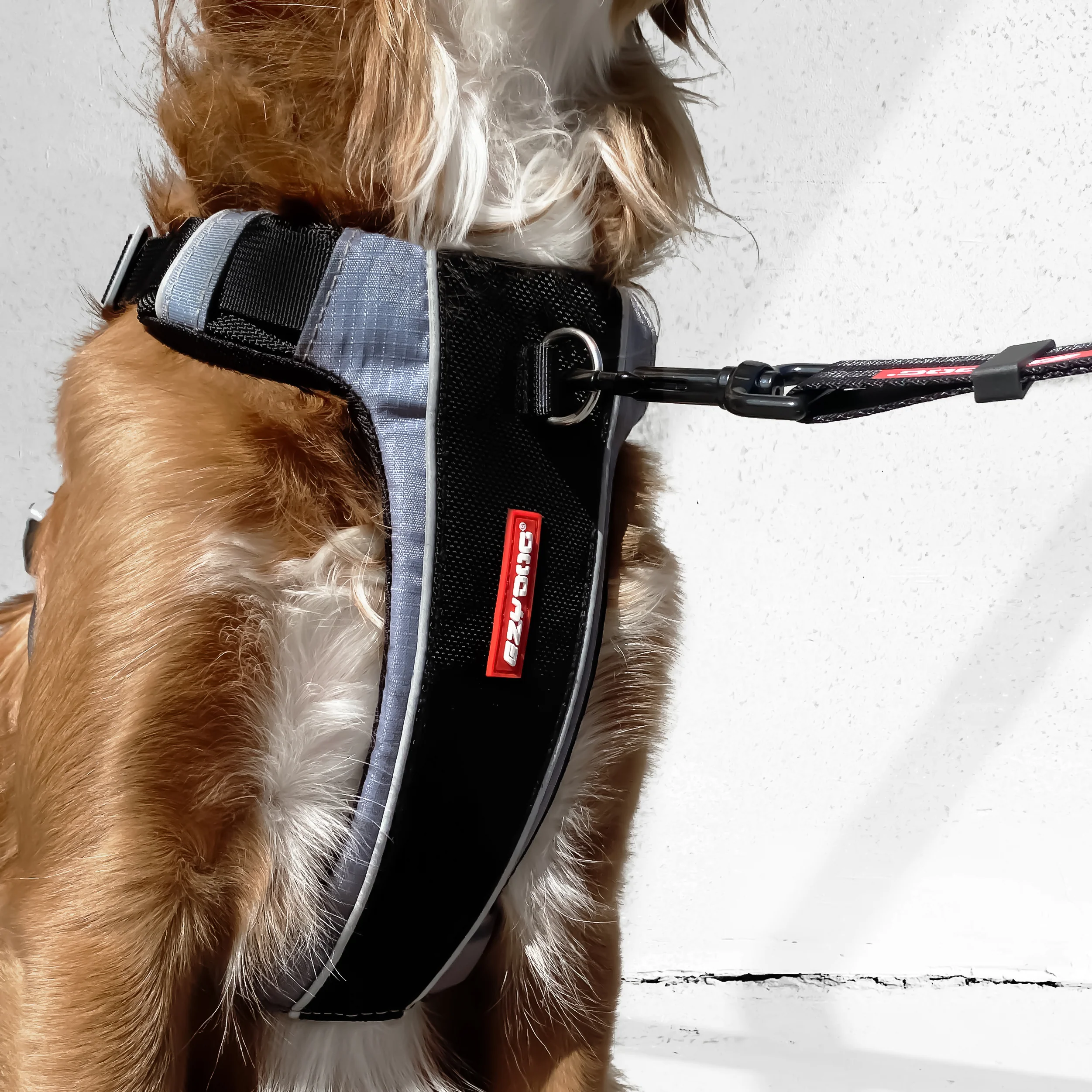 Hard Puller Running Bundle (X-Link) - Image 7