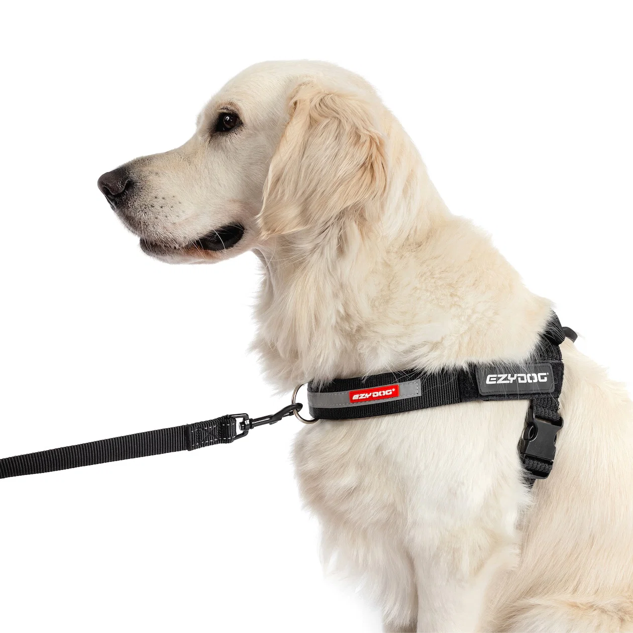 UpFront™ Leash Attachment - Image 2