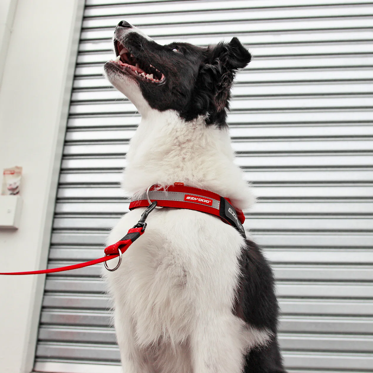 UpFront™ Leash Attachment - Image 3