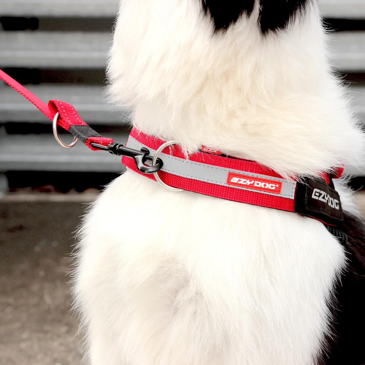 UpFront™ Leash Attachment - Image 4