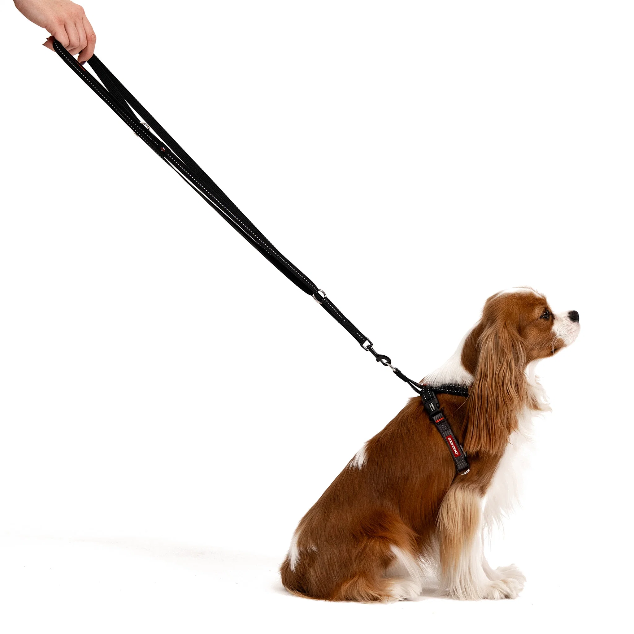 Vario 4™ Multi-Function Leash - Image 14