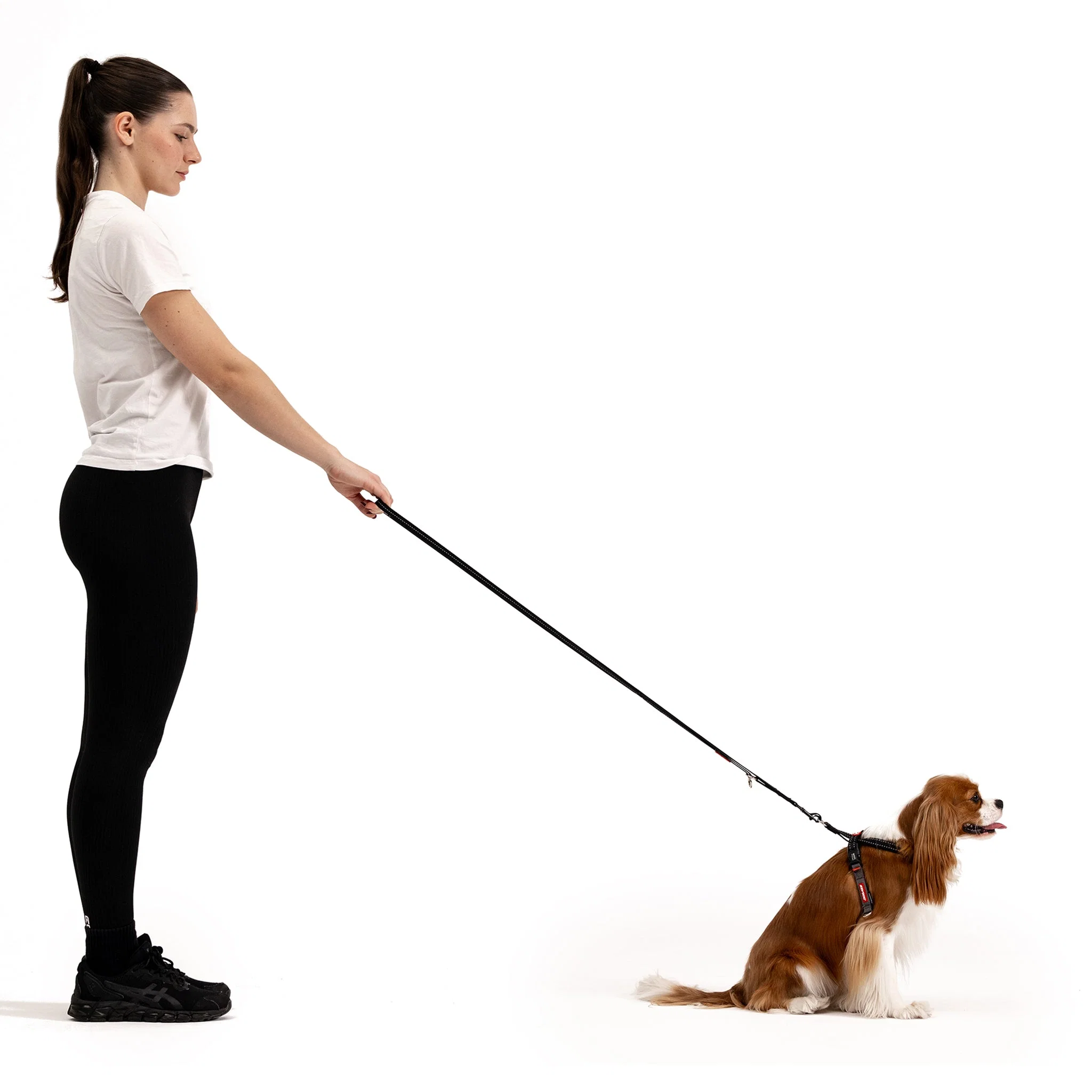 Vario 4™ Multi-Function Leash - Image 15