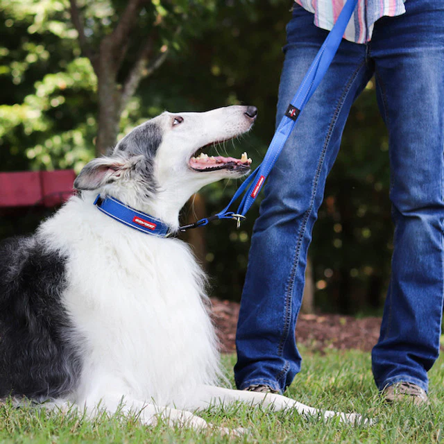Vario 4™ Multi-Function Leash - Image 3