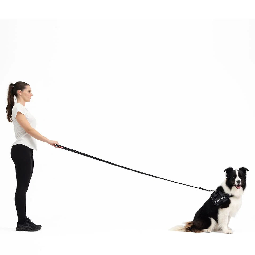 Vario 4™ Multi-Function Leash - Image 4
