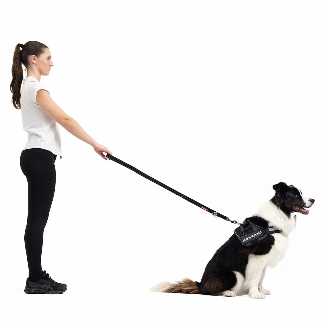 Vario 4™ Multi-Function Leash - Image 5