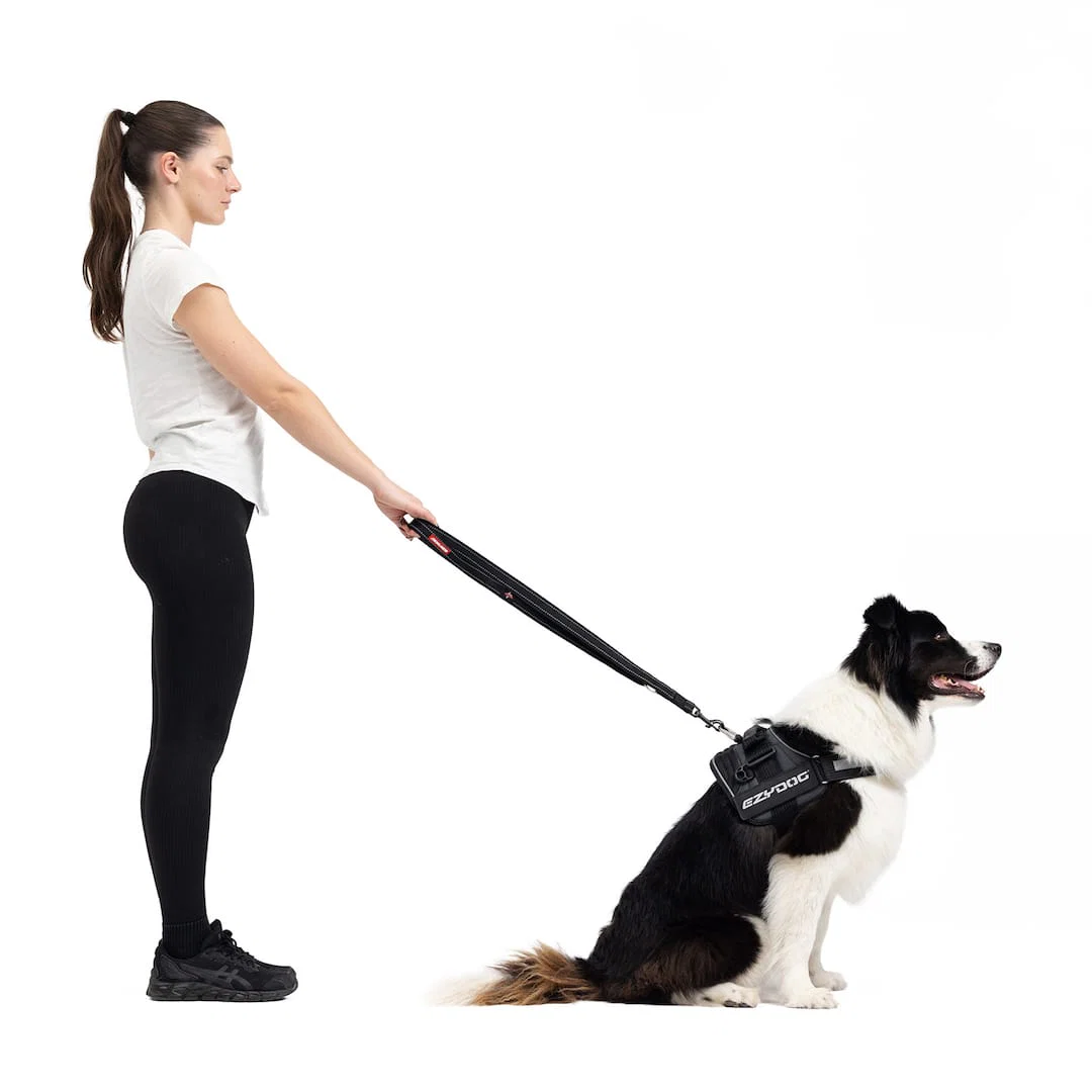 Vario 4™ Multi-Function Leash - Image 6