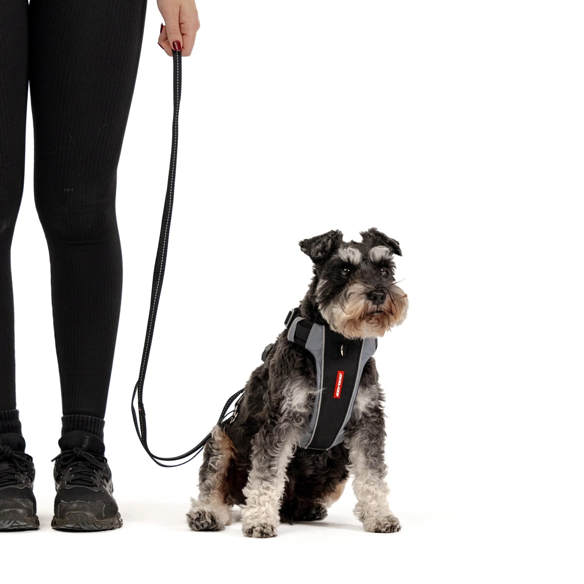 VARIO 6™ Multi-Function Leash - Image 7