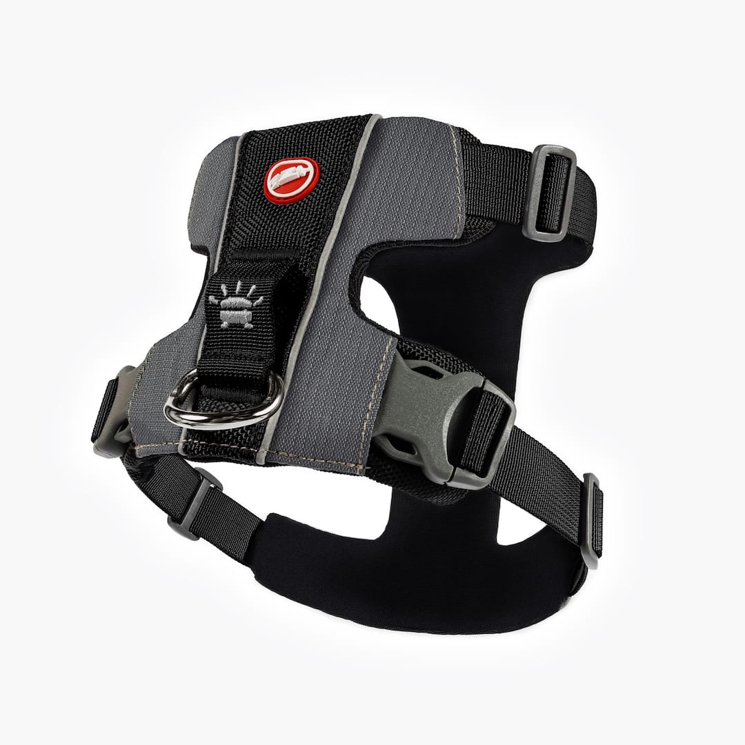 X-Link™ Dog Harness - Image 10