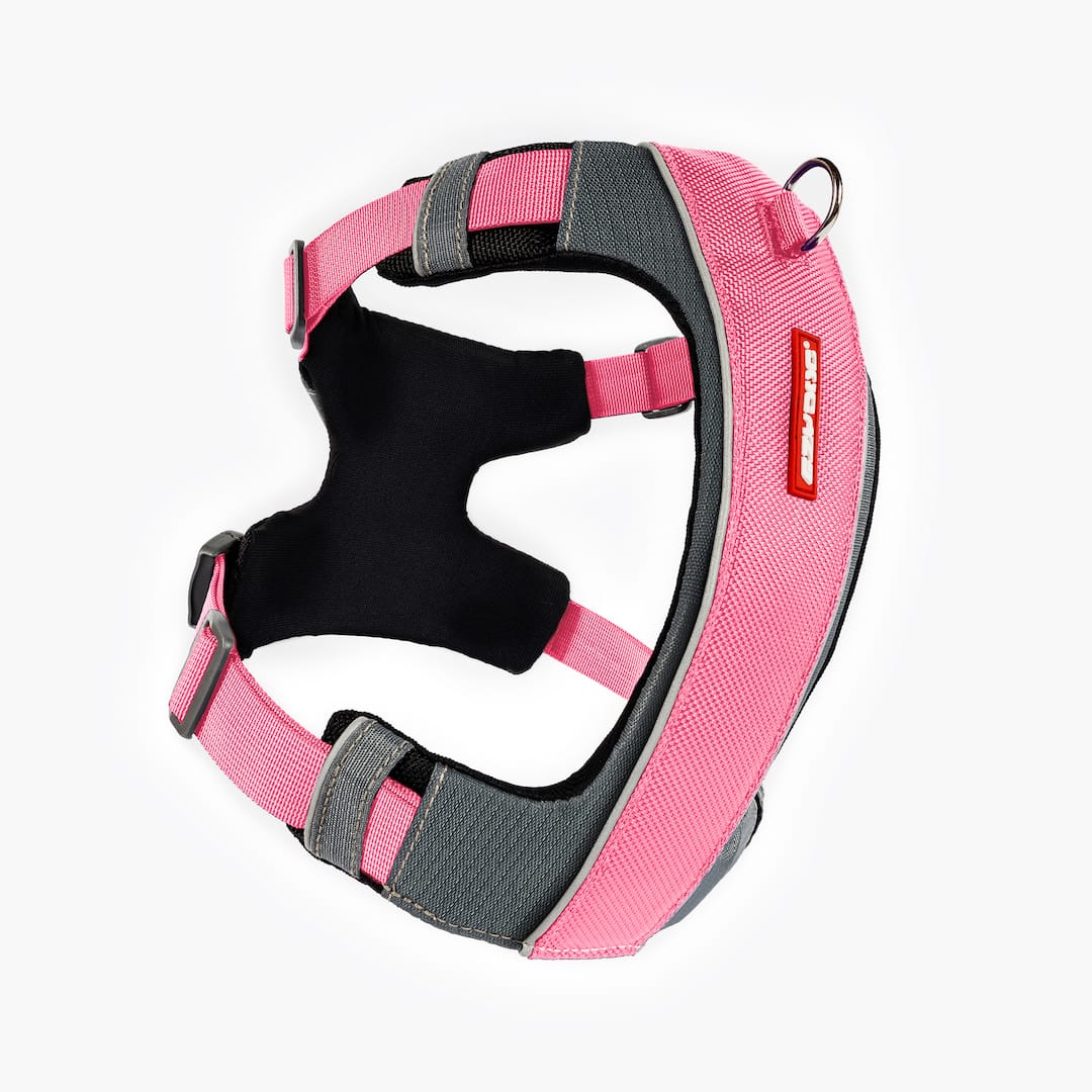X-Link™ Dog Harness - Image 11