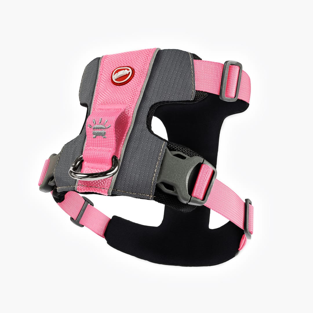 X-Link™ Dog Harness - Image 12