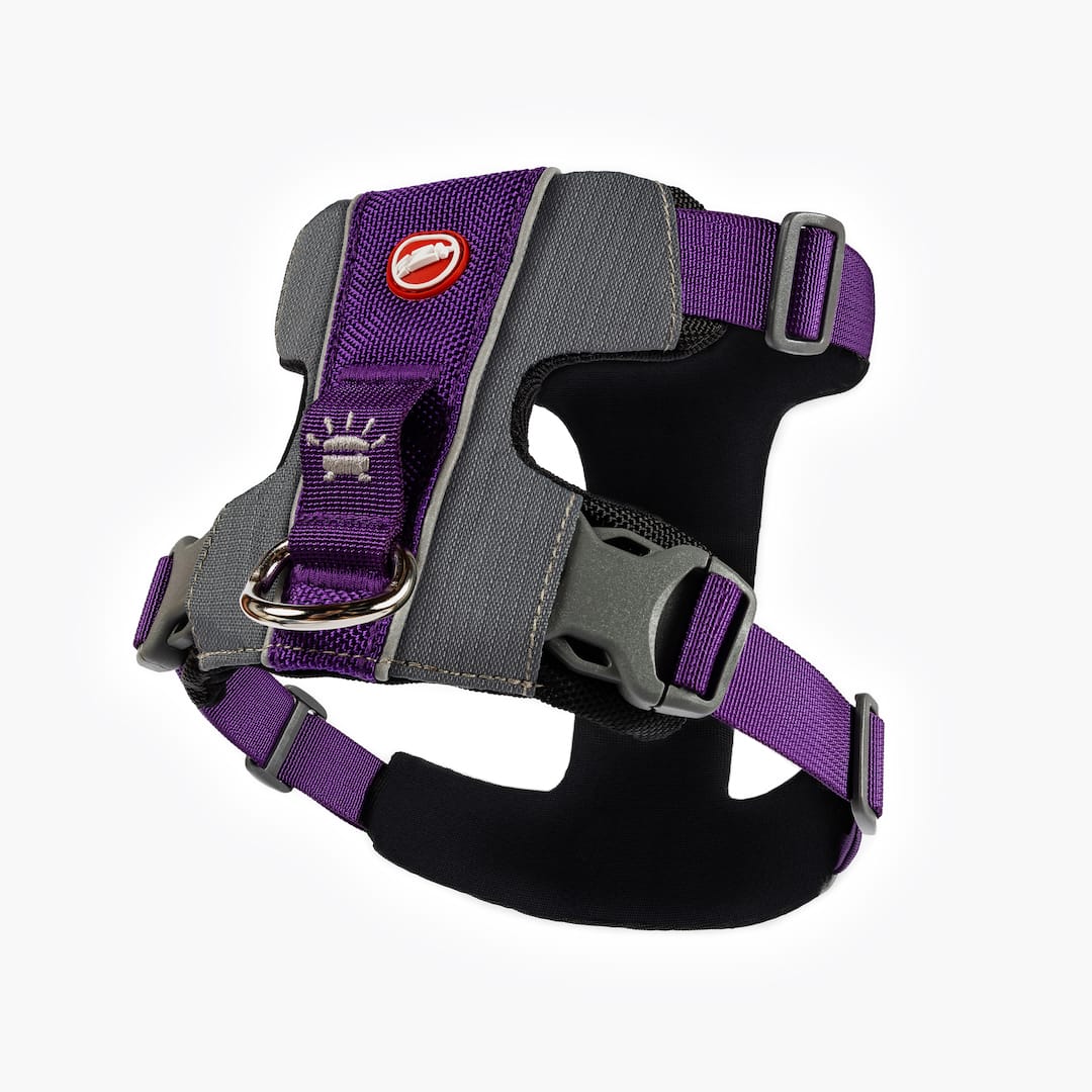 X-Link™ Dog Harness - Image 14