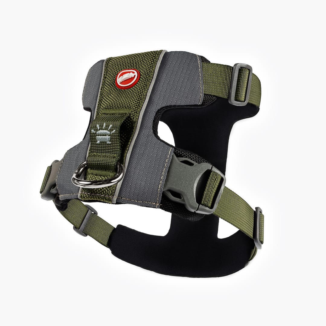 X-Link™ Dog Harness - Image 4