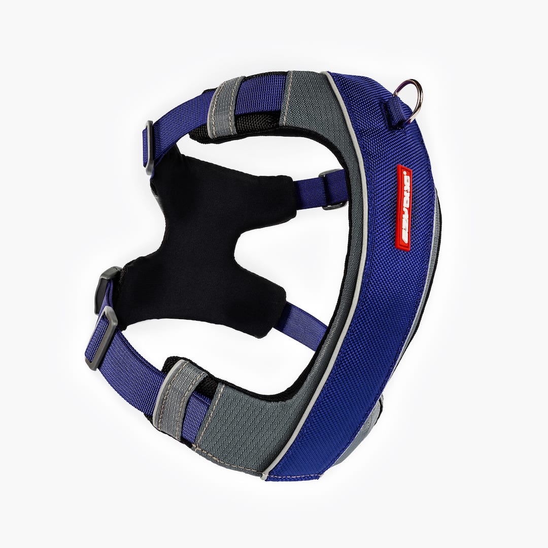 X-Link™ Dog Harness - Image 5