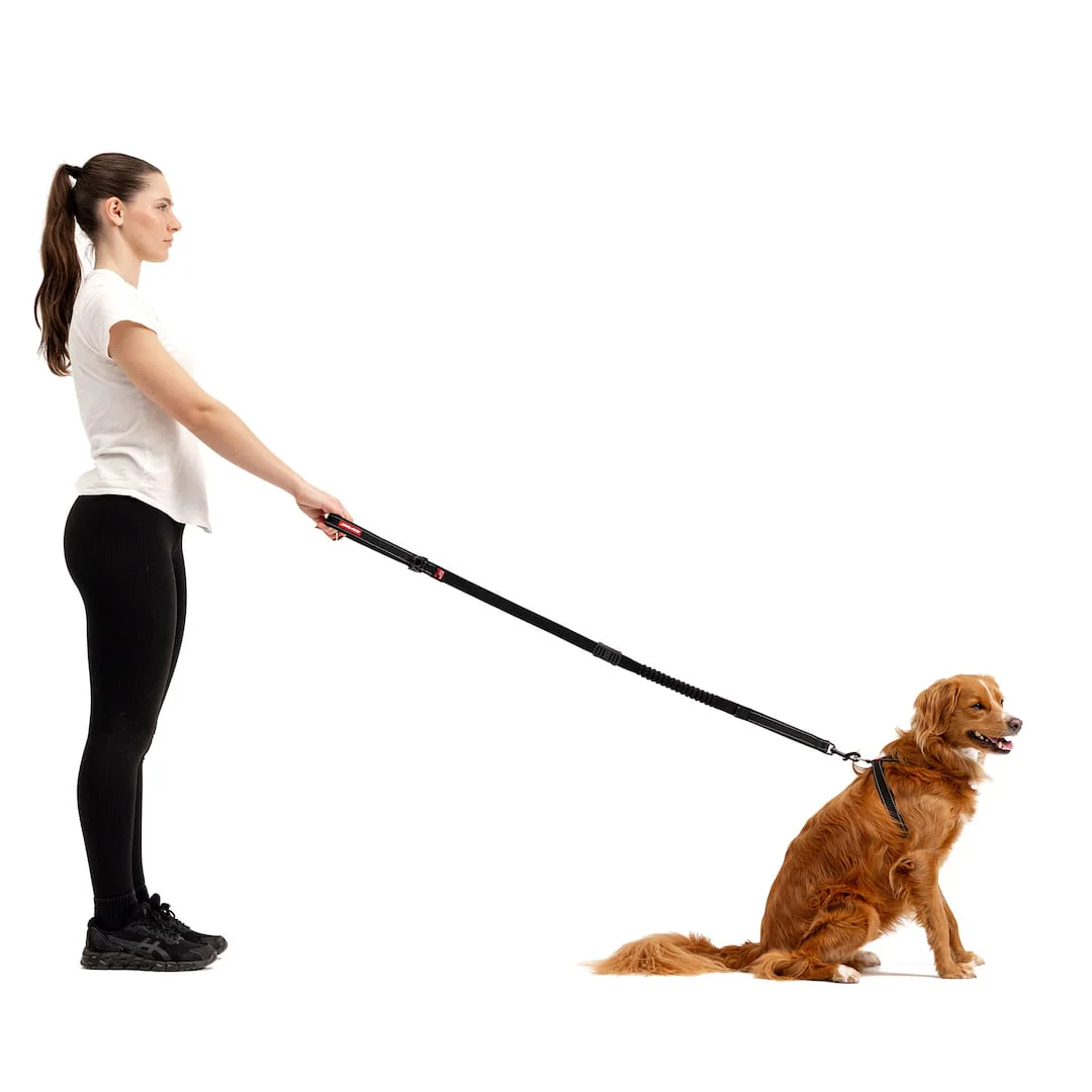 Zero Shock™ Leash - Image 25