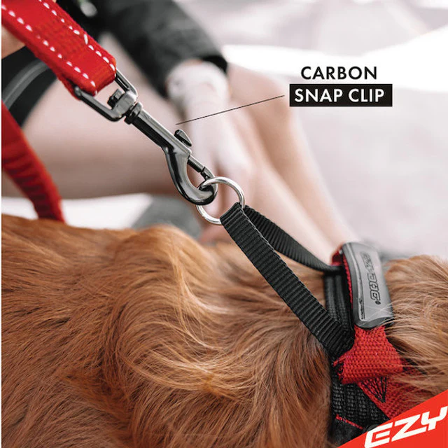 Zero Shock™ Leash - Image 7