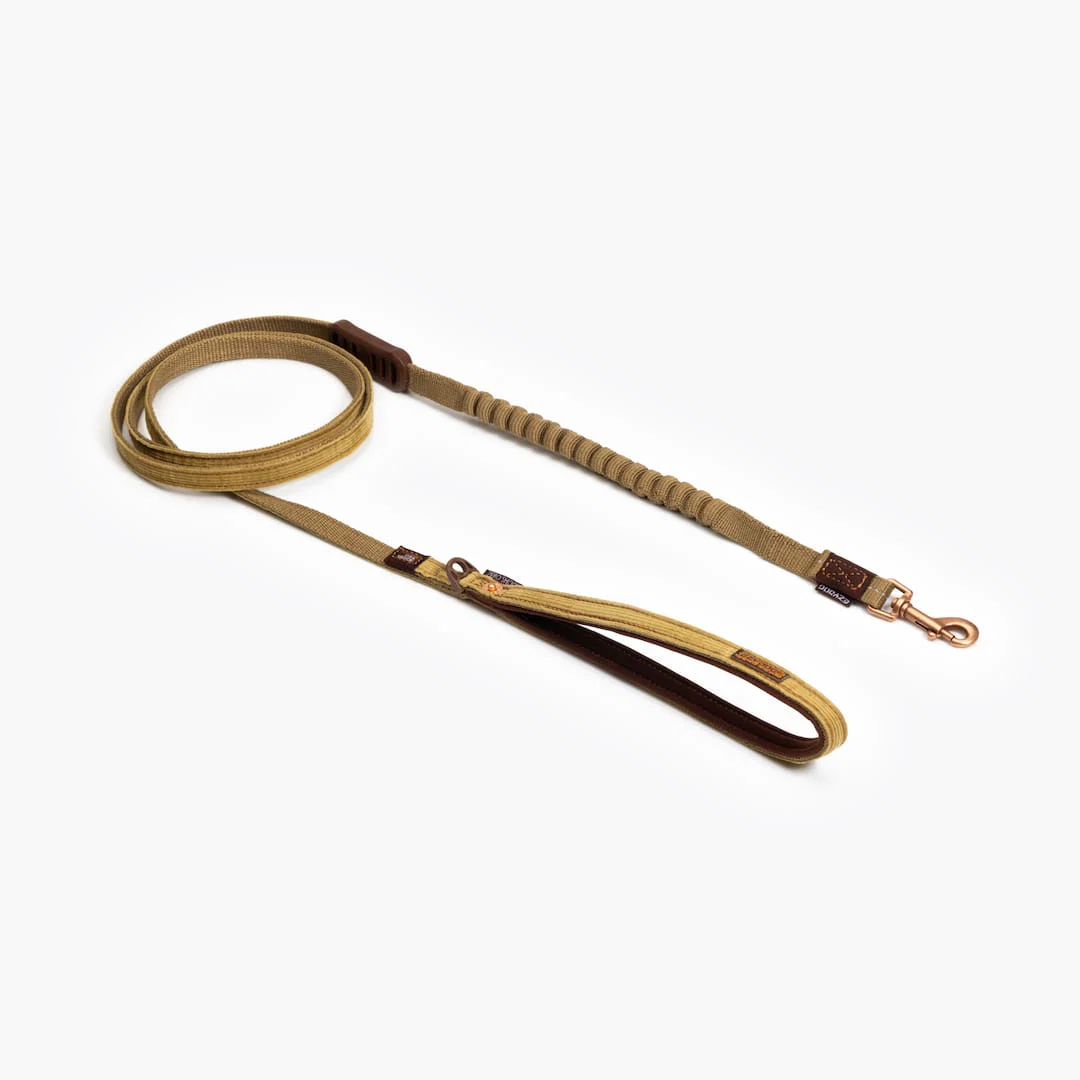 Zero Shock™ Lite Leash for Small Breeds - Image 10