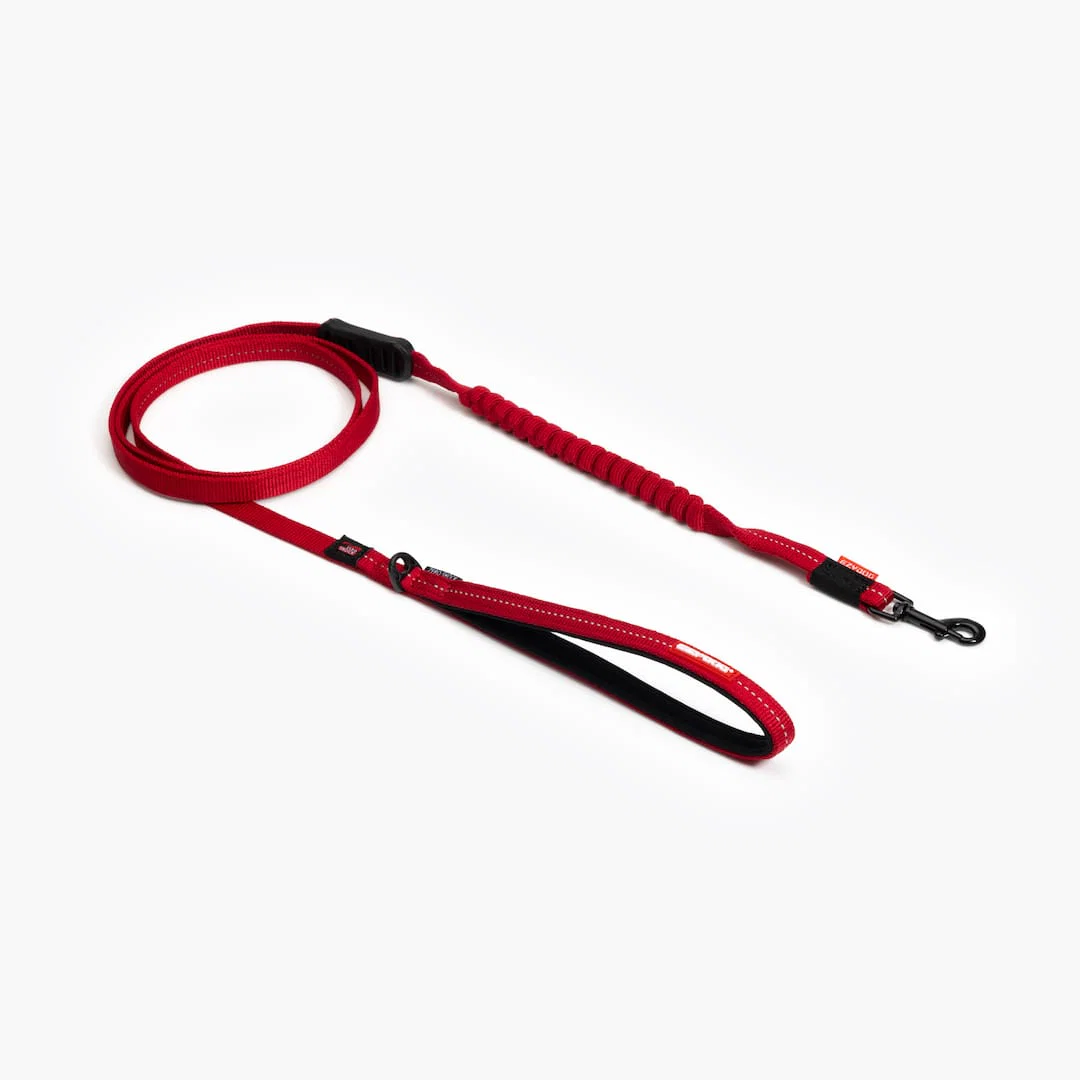 Zero Shock™ Lite Leash for Small Breeds - Image 3