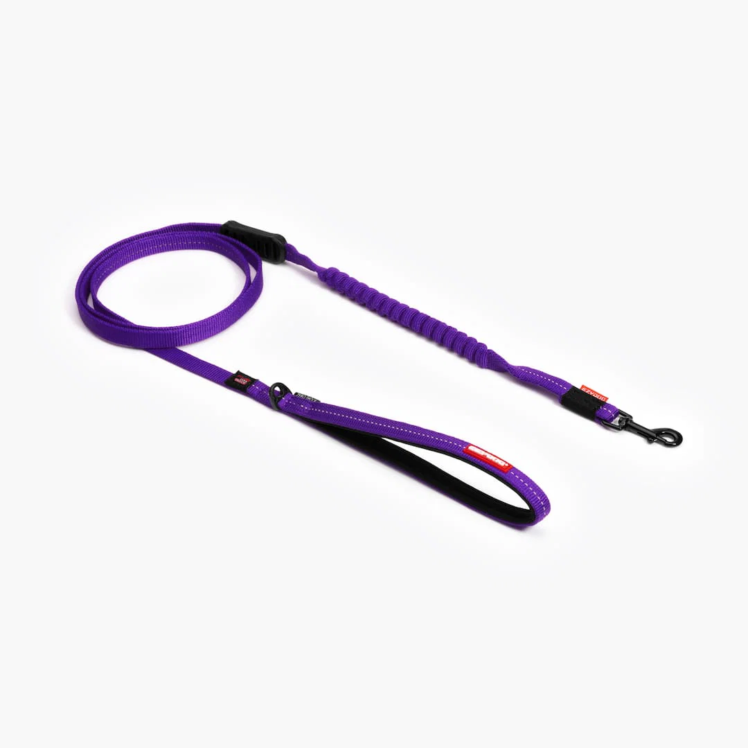 Zero Shock™ Lite Leash for Small Breeds - Image 6